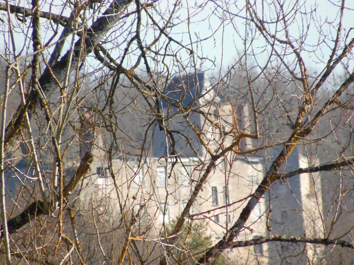 Gite Et Chambres D'Hotes Les Terrasses De Gaumier Gaumiers Exterior photo